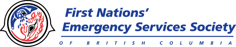 ness logo