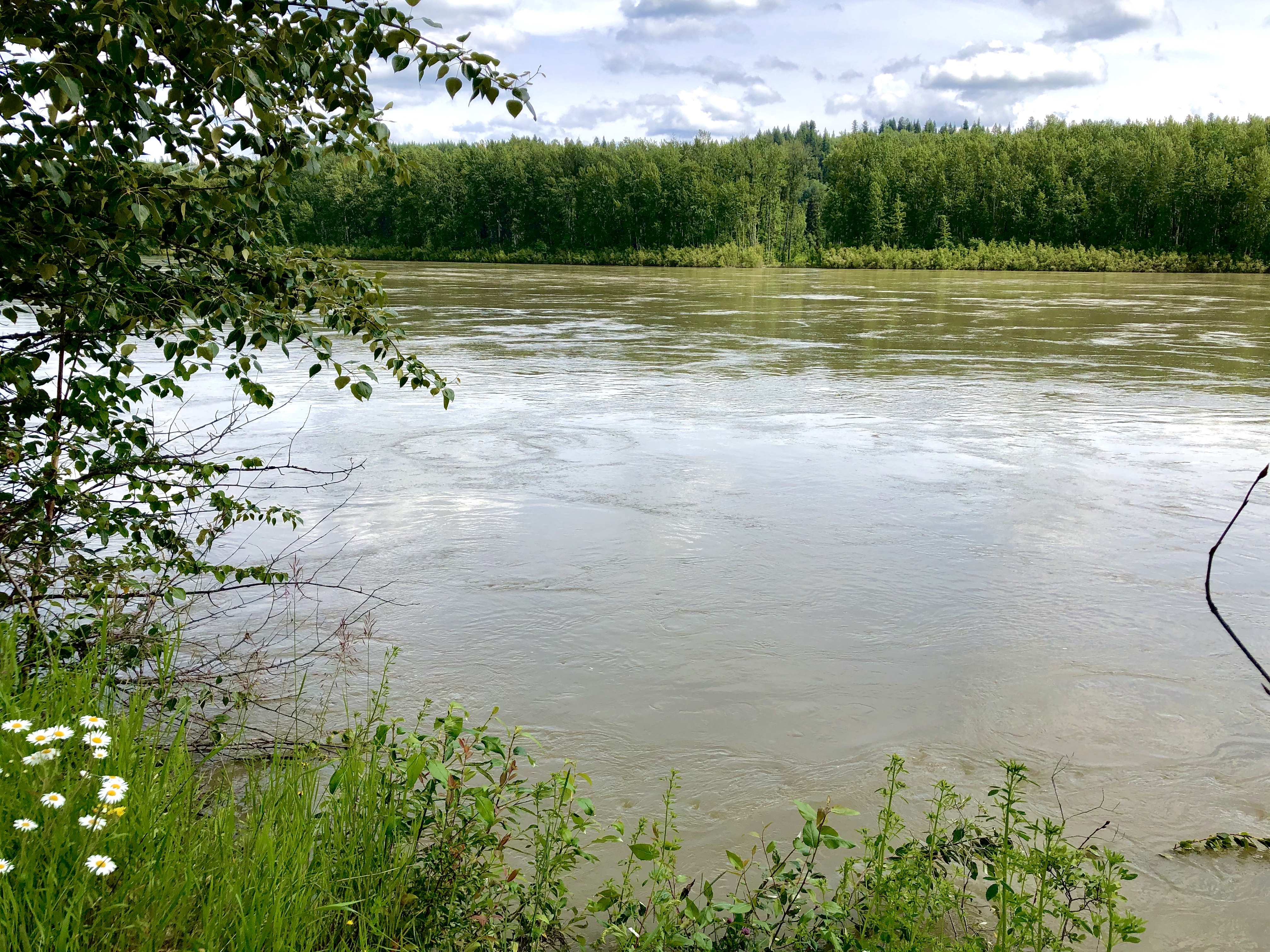 Fraser River - Lheidli T'enneh