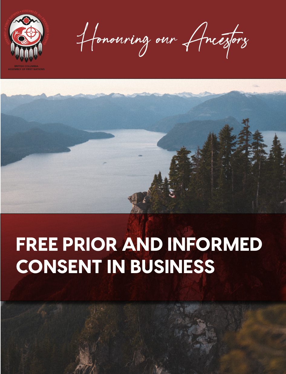 FPIC in Business PDF Front Cover.