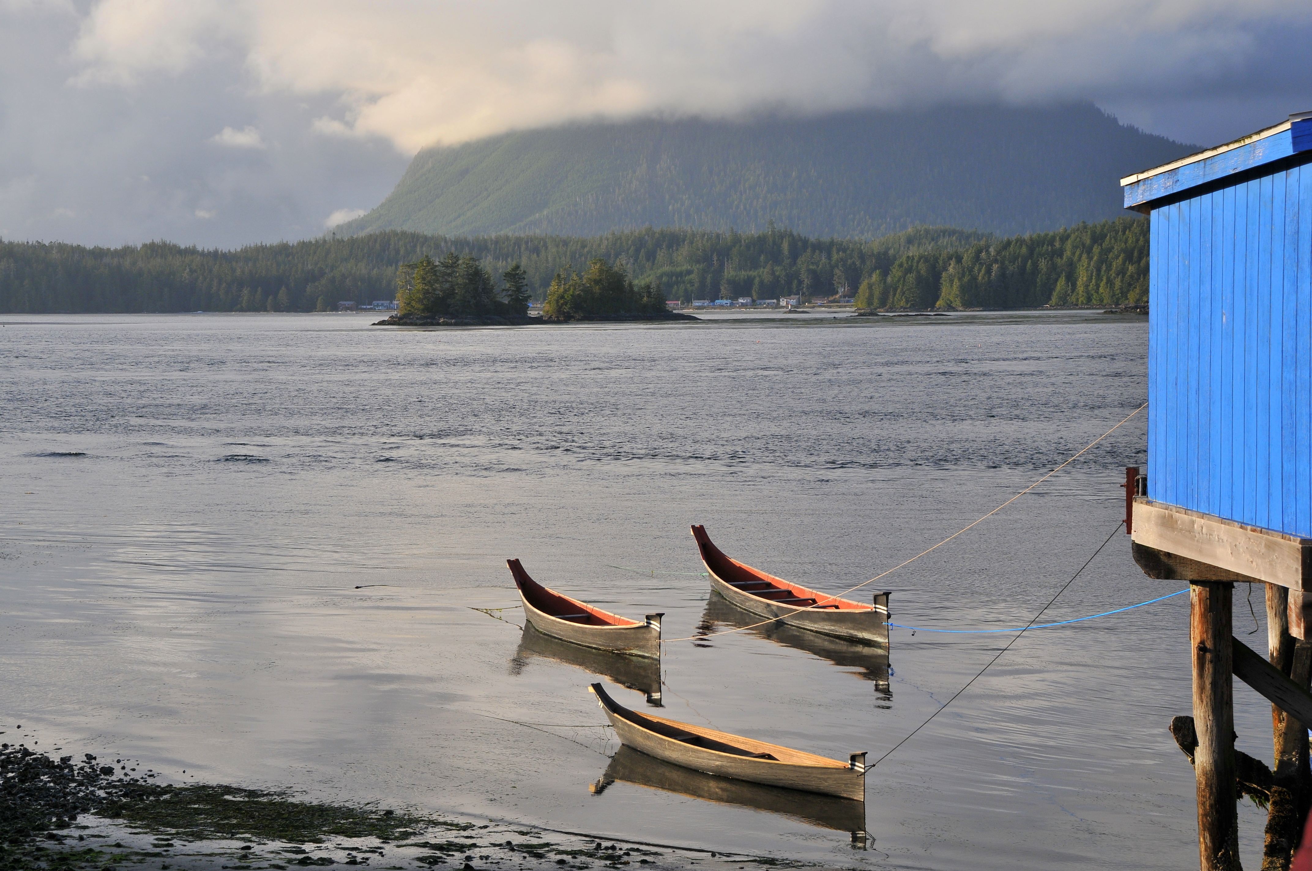 Three wooden canoes tied to a dock on the ocean