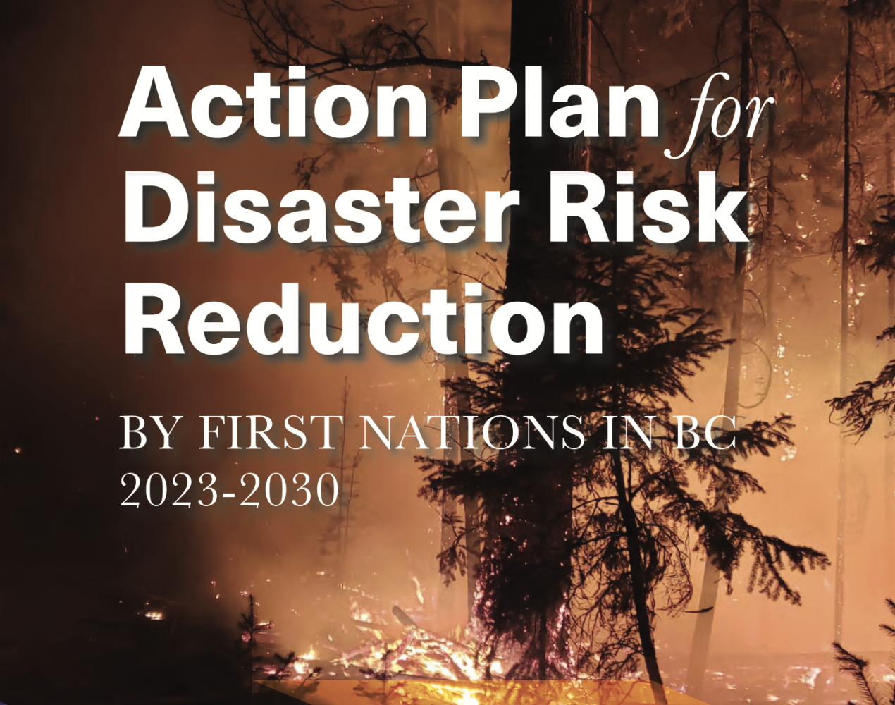 AP Risk Reduction