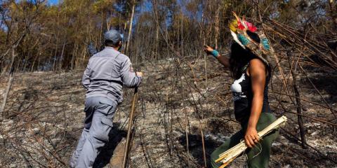 Indigenous peoples and the environment